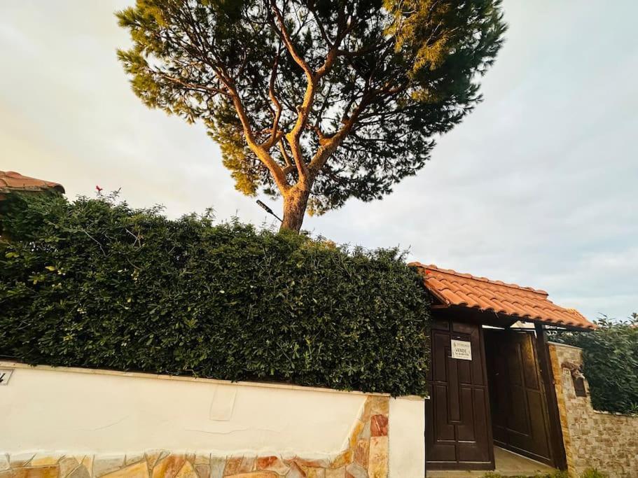 Fontana House Villa Marina di Cerveteri Exteriör bild